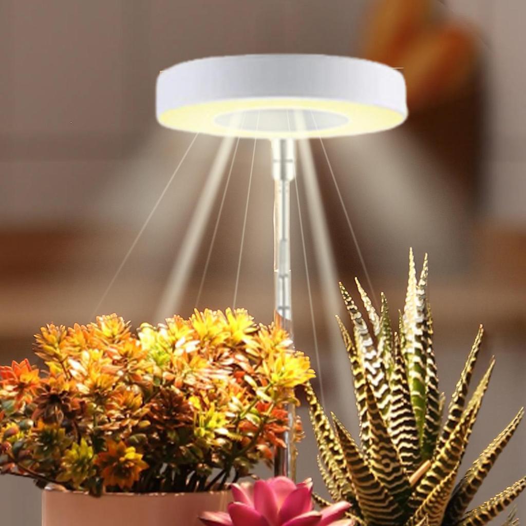 Grow Lights For Indoor Plants Plant Grow Light Timing Dimmable LED Hydroponic Lamp For Greenhouse Flower Growth Bonsai Care