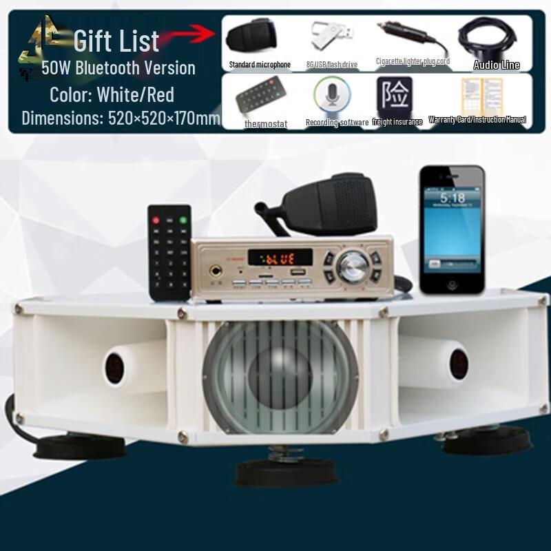 Vehicle Roof Loudspeaker System