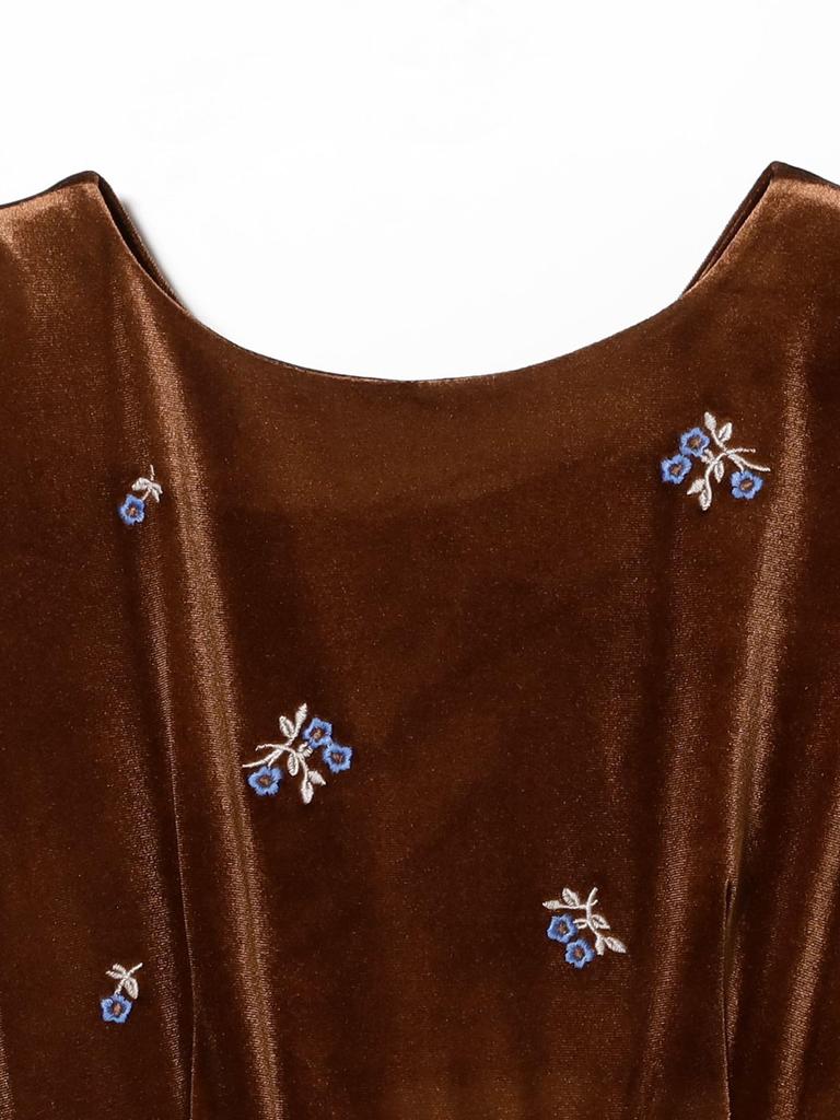 Ray Beams Women's Velvet Embroidered Dress, Brown 0