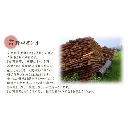 Yoshii Shoji Premium Yoshino Cedar and Ranchu Obi Wrapped Chopsticks, 24cm, 20 Pairs, YOS-029, Made in Japan, Ideal for Kaiseki and Ryotei (Japanese C