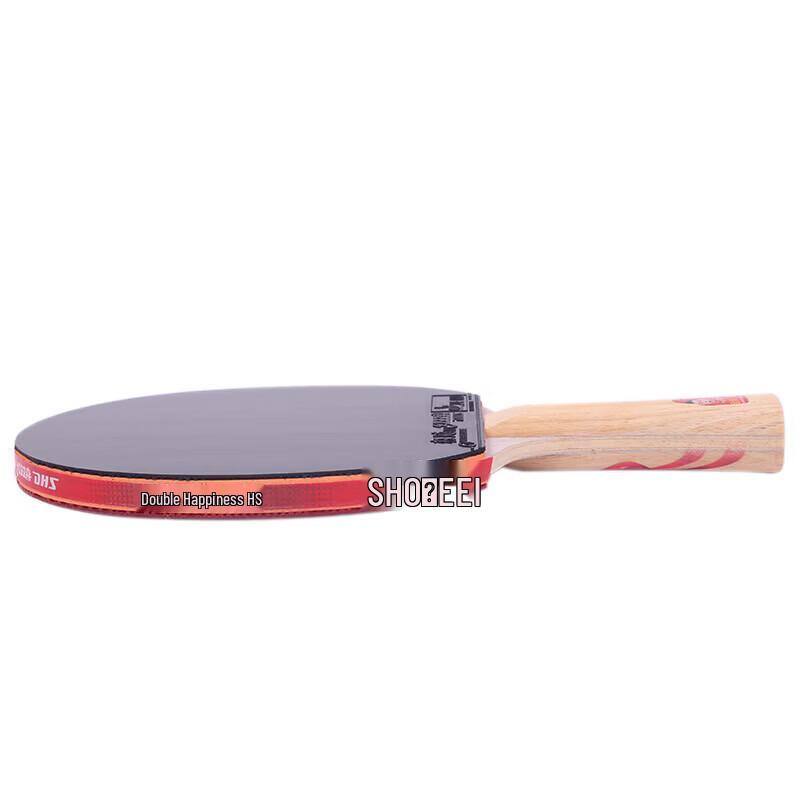 DHS Hurricane Ma Long GM03 Professional Table Tennis Racket