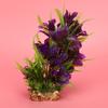 Aquarium Decoration Artificial Plastic Water Plants Grass for Fish   Landscape