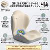 AwaRisu [Integrated] Chair Cushion for Back Pain Relief & Lumbar Support, Memory Foam, Breathable