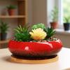Round Shallow Ceramic Succulents Planter Bowl for Flower Succulents Cactuses Small Desktop Plant Container
