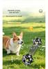 Self-Entertainment Bite-Resistant Dog Toy Ball for Collies, Labradors, Corgis & More