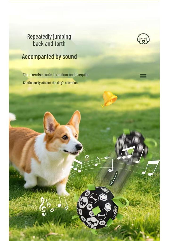 Self-Entertainment Bite-Resistant Dog Toy Ball for Collies, Labradors, Corgis & More