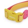 Candy Color Medium Dog Collar Fashion Cat Pet Collar For Puppy Small Dogs Leashes
