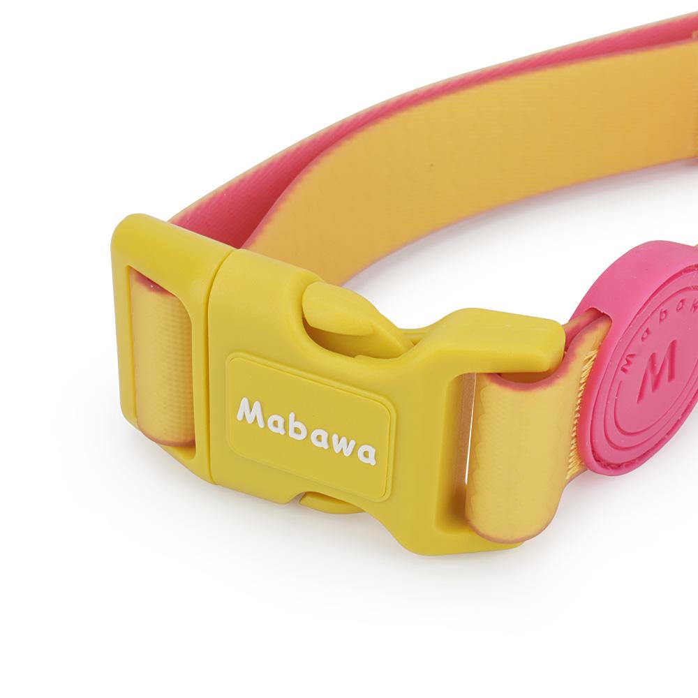 Candy Color Medium Dog Collar Fashion Cat Pet Collar For Puppy Small Dogs Leashes