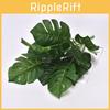 Deliciosa Plastic Monstera Epipremnum Aureum Rohdea Japonica Plant Artificial