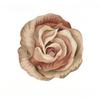 French Style Rugs for Bedroom Thicken Plush Study Mat Irregular Shapes Living Room Decoration Flower Carpet Home Fluffy Soft Rug