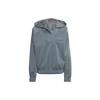 Blue Version High Shine (Gender Neutral) Hoodie Blue Unisex Streetwear HM9220