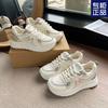 Spring and Summer Dad Shoes Autumn and Winter New Thick-soled Heightening Casual Shoes Sports Shoes Running Sports Shoes