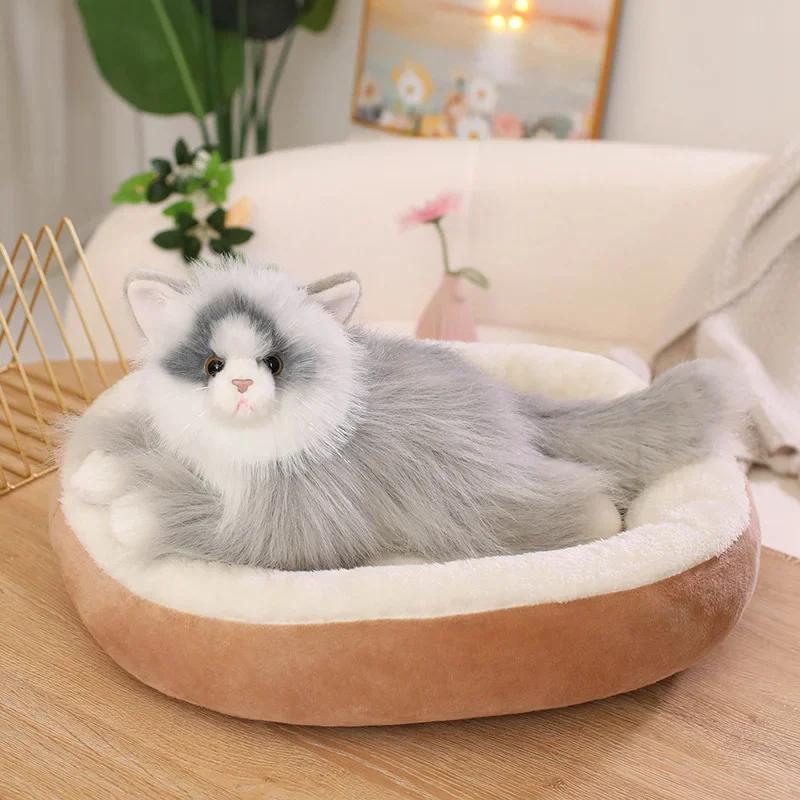 Kawaii Simulation Ragdoll Cat Plush Toy Soft Stuffed Kitten Cute Animals Home Decor Accompany Sleep Toy for Kids Birthday Gifts