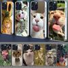 Hüllen für Smartphones – Smartphone-Bumper