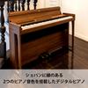 Korg Digital Piano Poetry 88-Key Inspired by Chopin Warm Wooden Finish Includes Headphones and Pedal