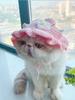 Hand Hook Knitted Pet Knitted Headset Pet Cosplay Props Headwear Funny Transformation Dress Cartoon Animal Flower Hat