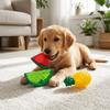 Elastic Surface Cooling Chew Toy Multi Shades Fruit Chew Toy Squeaky Dog Toy  Puppy Teething