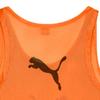 Puma Bib Team Vest