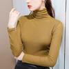 Women's Velvet Mesh High-Neck Base Layer: Long-Sleeve, Solid Color, Slim Fit for Autumn/Winter 2023