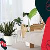 Plastic Flower Pot For Flowers And Herbs On The Balcony Or Terrace, White, 17 Cm, 4 Pcs.