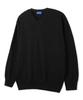 ALVINCLO [De Luxe] Daily Janice V-Neck Knit Dlx1512 (4 Colors)