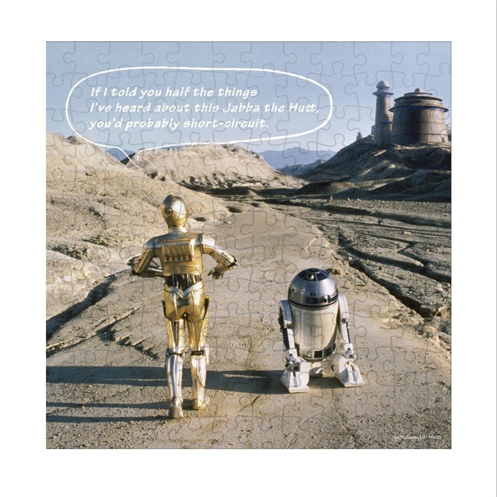 

Tenyo [Made in Japan] 144 Piece Jigsaw Puzzle and Panel Star Wars R2-D2 C-3PO (24 x 24cm) W-144-691 with Glue