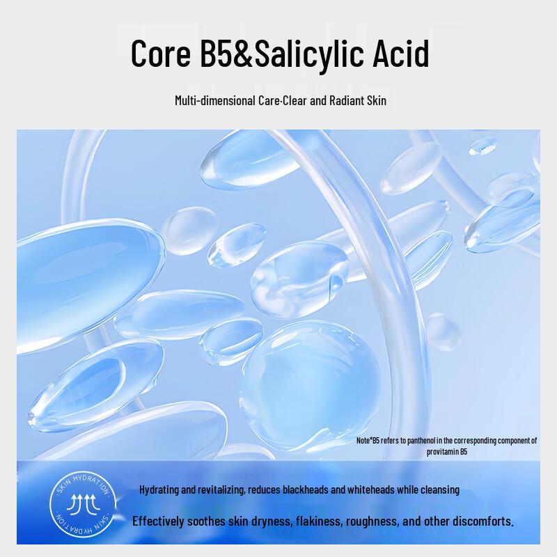 Hanlun Meiyu B5 Salicylic Acid Purifying Clay Mask