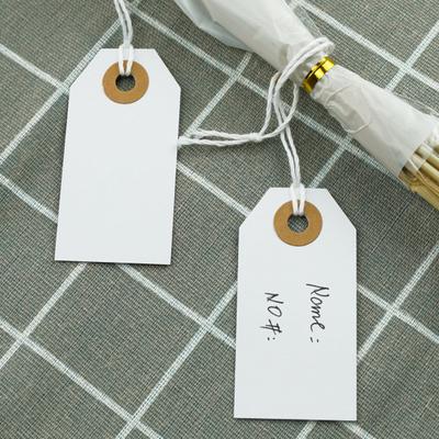 100 pezzi di etichette sospese con fori rinforzati allegati, design con corda elastica, etichette scrivibili fai da te ampiamente utilizzate