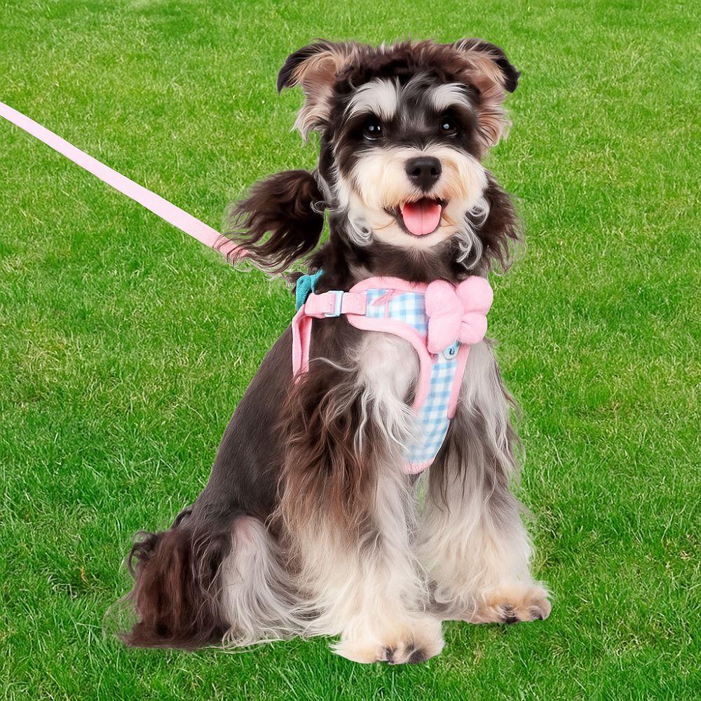 Nastavitelný psí postroj s mašlí, prodyšné psí vodítko, roztomilé pet trakční lano pro kočky a psy