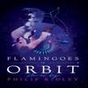 Flamingoes In Orbit by Philip Ridley Hardback Book 9781948405041