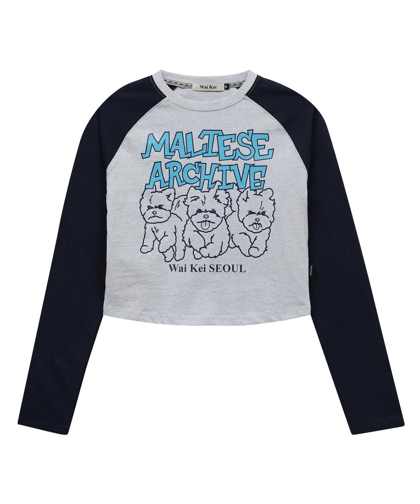 WAIKEI Maltese Archive Line Graphic Raglan Long Sleeve T-Shirt Melange White