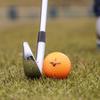 MIZUNO RB 566 NexDrive Golf 1 5NJBT324 Balls, Dozen, Orange,