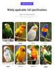 Multi-functional Cast Iron Parrot Cage: Durable Metal Bird Cage for Flock