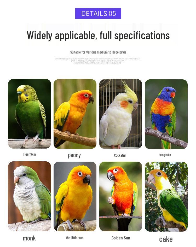 Multi-functional Cast Iron Parrot Cage: Durable Metal Bird Cage for Flock