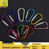 No. 4 D-Type Aluminum Alloy Carabiner with Quick Release for Water Bottles and Outdoor Gear.