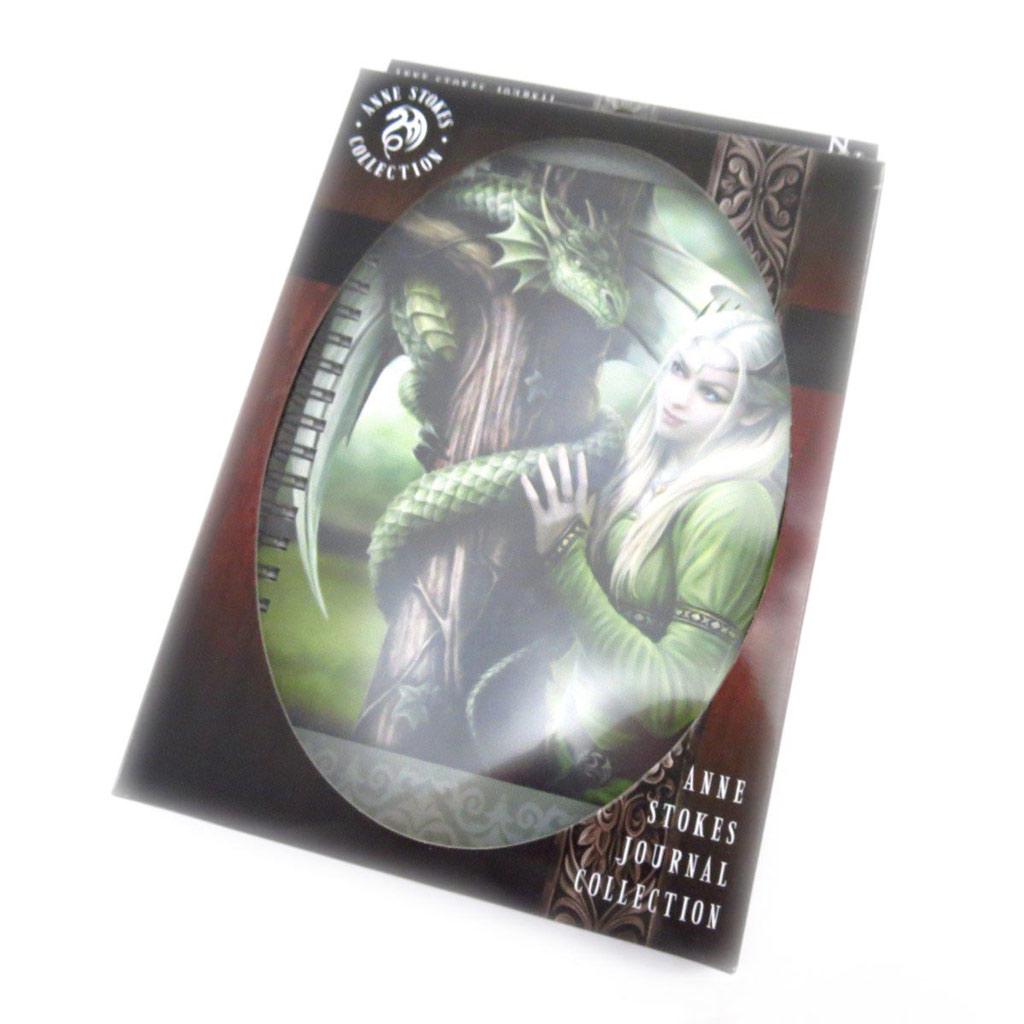 Les Trésors De Lily [J5595] - Carnet à spirales 'Fairy Dreams' vert