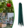 40cm Green Plant Support  Canes For Flowers Garden