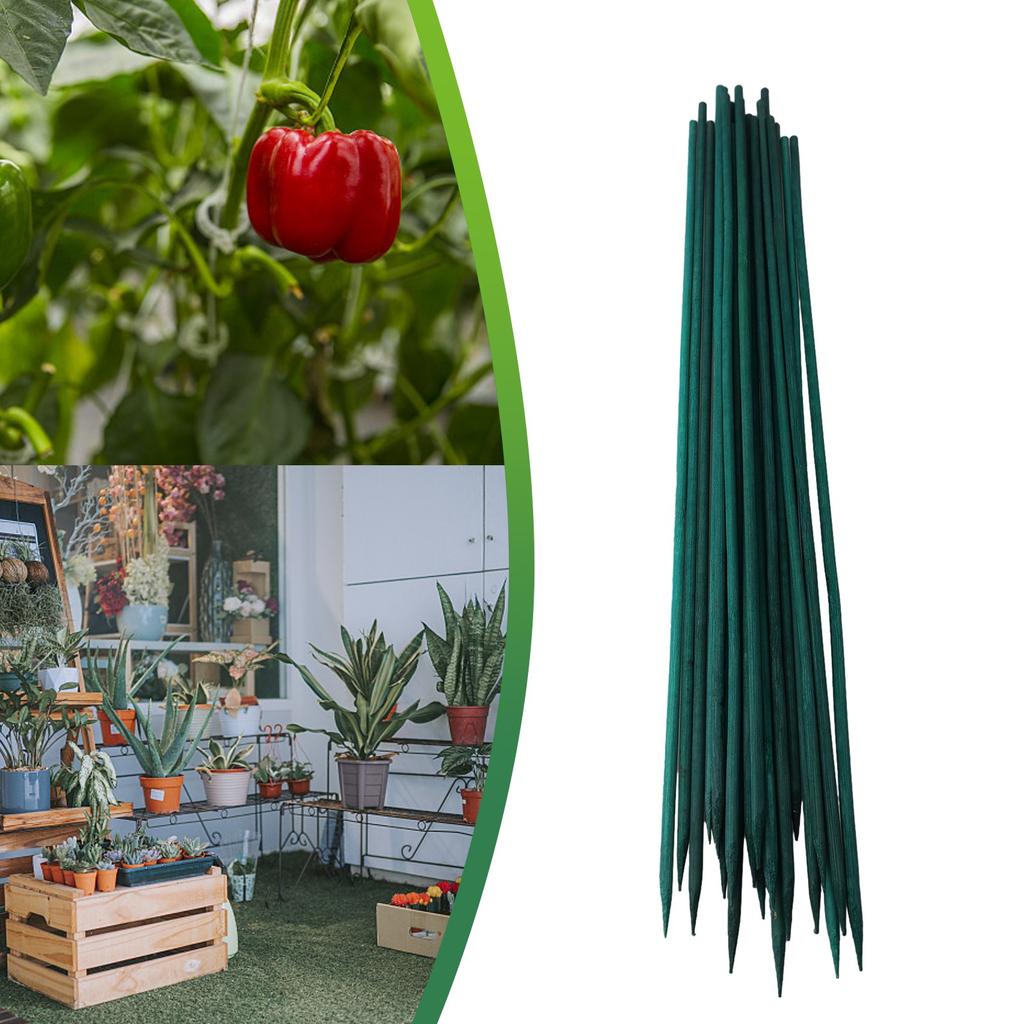40cm Green Plant Support  Canes For Flowers Garden