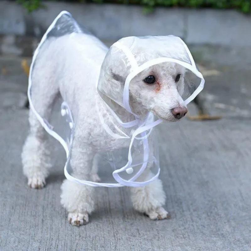 1Pc Dog Raincoat Small Dog Pet Dog Raincoat Transparent Raincoat Pet Clothing Waterproof