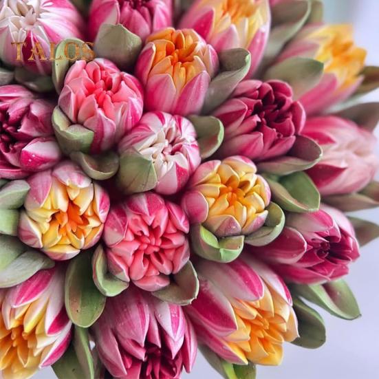 Boquillas rusas para manga pastelera con forma de rosa, de acero inoxidable, extragrandes, para glaseado y decoración de pasteles.