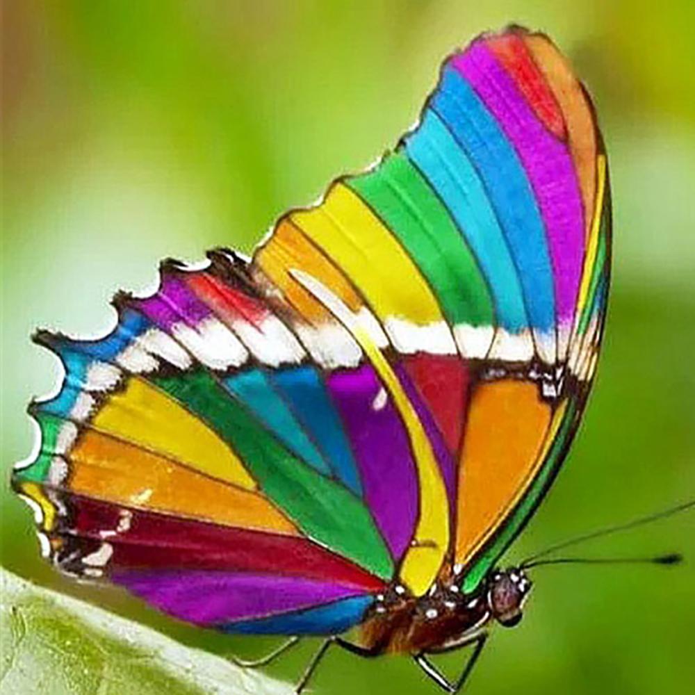 Diy 5D Diamond Painting Butterfly Flower Diamond Embroidery Cross Stitch Kit Mosaic Picture Home Decoration New Year Gift