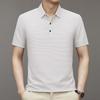 Herren Eis Seide Mesh Poloshirt - Kurzärmelig, Leicht, Sommeroberteil mit Hemdkragen