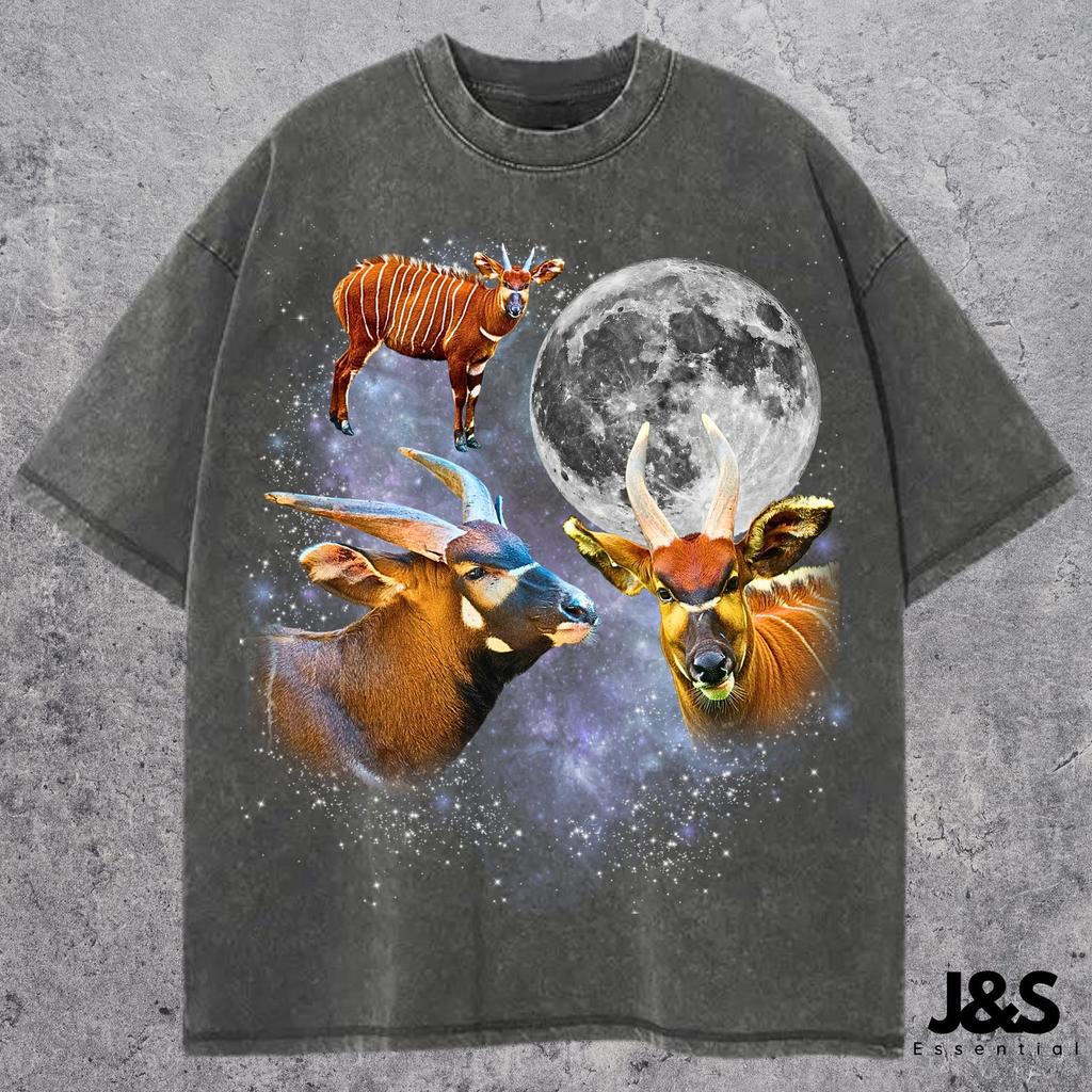 Three Bongo Antelope Retro Graphic T-shirt, Vintage Antelope Moon Shirt, Funny Wildlife Tee, Oversized Washed Animal Top, Exotic Animal Gift