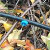 4L 8L Steady Flow Drippers 4/7mm Interface Pressure Control Emitters for Garden Agriculture Greenhouse Drip-irrigation 10/100Pcs