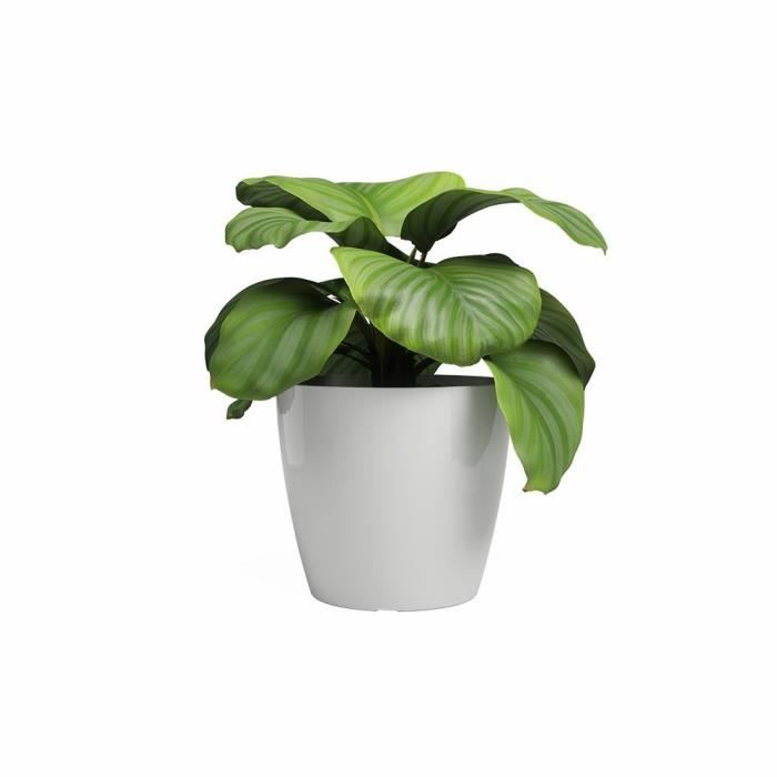 ARTEVASI Pot de fleurs - Rond - Blanc - Polypropylène - 4 roulettes - 30 x 30 x 27,3 cm