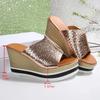 Fashion Women Shoes Silver Chunky Platform Sandals 2025 Summer Wedges Slippers Plus Size 36-43 Woman Outdoor High Heels Sandles Female