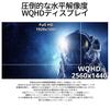 JAPANNEXT Inch Gaming Monitor 165hz Compatible WQHD HDMI DP 23.8 JN-238GT165WQHDR DVI-I