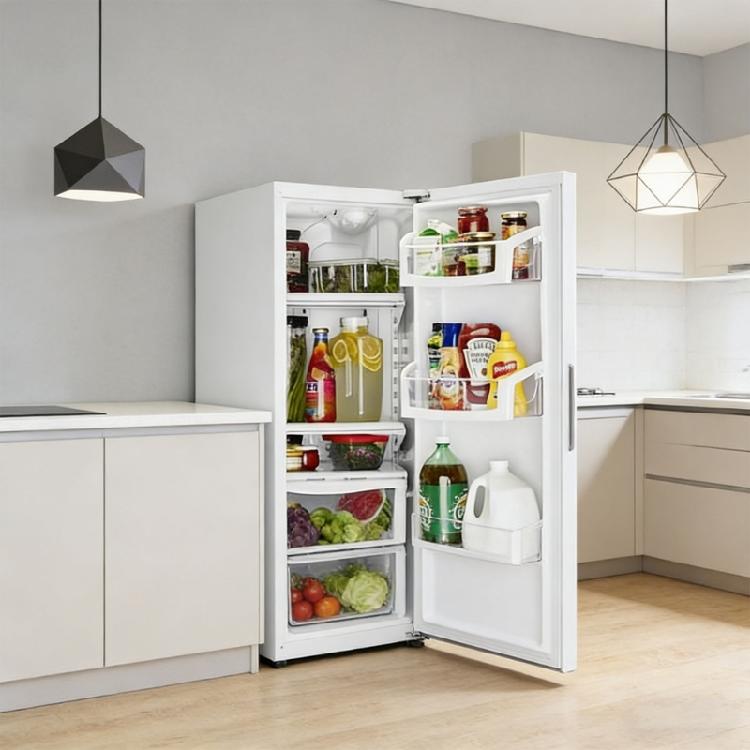 Simple To Maintain Right Fridge Shelf Plastic Replacement Suitable For Most Models
