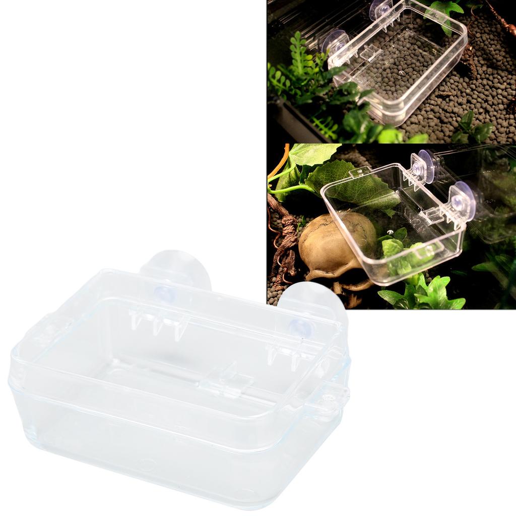 Reptile Feeder Cup Prevent Escape Transparent Reptile Feeding Dish with Suction Cup for     Bearded Dragon