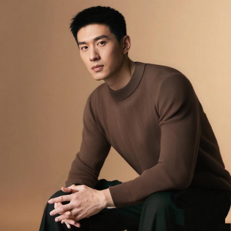 

Shanshan Men s 100% Wool Half-High Collar Sweater XL